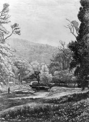 In Werrington Park, 1823 (engraving) | Obraz na stenu