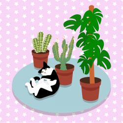 The Cat and the Cacti | Obraz na stenu
