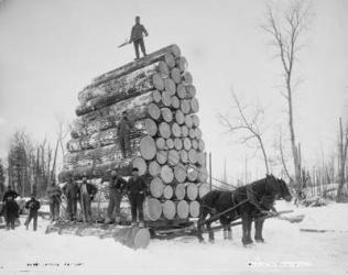 Logging a big load, Michigan, c.1880-99 (b/w photo) | Obraz na stenu