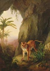 Tiger in a cave, c.1814 (oil on panel) | Obraz na stenu