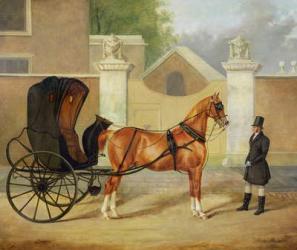 Gentlemen's Carriages: A Cabriolet, c.1820-30 (oil on canvas) | Obraz na stenu