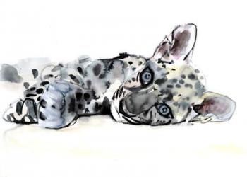 Arabian Leopard Cub, 2008 (w/c on paper) | Obraz na stenu