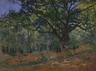 The Bodmer Oak, Fontainebleau Forest, 1865 (oil on canvas) | Obraz na stenu