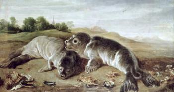 Two Young Seals on the Shore, c.1650 (oil on canvas) | Obraz na stenu