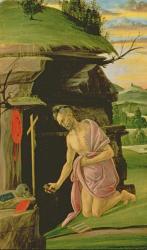 St. Jerome, 1490s (tempera on panel) | Obraz na stenu