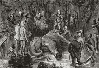 Albert Edward Prince of Wales, future King Edward VII , 1841  1910. During an elephant hunt in Ceylon in 1875. Seen here standing atop a dead elephant. From Edward VII His Life and Times, published 1910. | Obraz na stenu