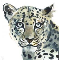 Leopard, 2015, (watercolour on paper) | Obraz na stenu