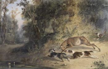 Deerhound and Bitch Cornering a Stag at the Edge of a Woodland Pool (w/c, gum arabic and bodycolour on paper) | Obraz na stenu