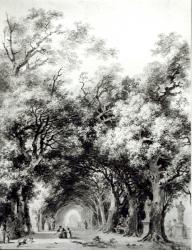 The shady alley, c.1773-74 (sepia wash on paper) (b/w photo) | Obraz na stenu