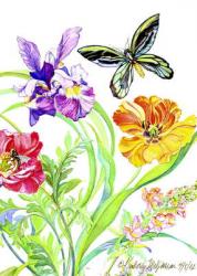 Iris and Queen Alexandra Butterfly,Botanical print-card collection, 2007, (watercolor on paper | Obraz na stenu