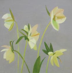 Hellebores, 2014, (oil on canvas) | Obraz na stenu