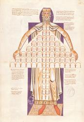 Ms 354 fol.256v Tree of Consanguinity (vellum) | Obraz na stenu