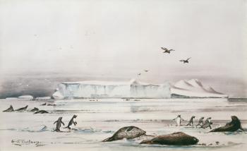 Antarctic Landscape (w/c on paper) | Obraz na stenu
