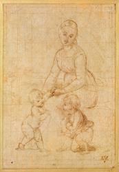 Study of the Virgin for 'La Belle Jardinière' or Madonna and Child with Saint John the Baptist (ink on paper) | Obraz na stenu