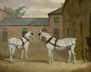 Mr. Sowerby's Grey Carriage Horses in his Coachyard at Putteridge Bury, Hertfordshire, 1836 (oil on canvas) | Obraz na stenu