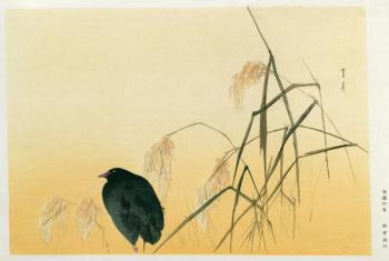 Blackbird, Edo Period (silk scroll) | Obraz na stenu