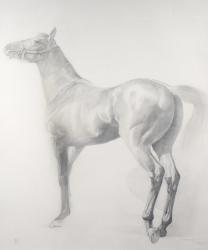 Kicking Off, Series 3, 2011 (graphite on paper) | Obraz na stenu