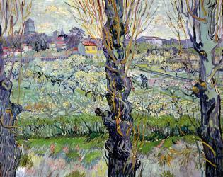 View of Arles, 1889 (oil on canvas) | Obraz na stenu