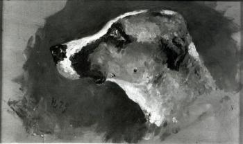 Head of a Dog with Short Ears, 1879 | Obraz na stenu