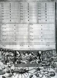 Table II from 'Elenchus Tabularum' by Levinus Vincent, published 1719 (engraving) | Obraz na stenu