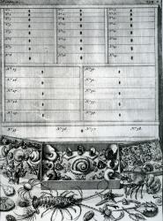 Table II from 'Elenchus Tabularum' by Levinus Vincent, published 1719 (engraving) | Obraz na stenu