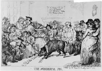 The Wonderful Pig, 1785 (etching) | Obraz na stenu