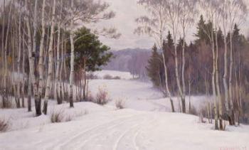 Woodland Trail in Winter | Obraz na stenu