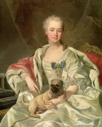 Princess Ekaterina Golitsyna (1720-91) 1759 (oil on canvas) | Obraz na stenu