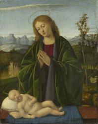 Madonna Adoring the Child, c.1520 (oil on panel) | Obraz na stenu
