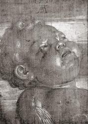 Cherubim Crying, 1521 (graphite & gouache on paper) | Obraz na stenu