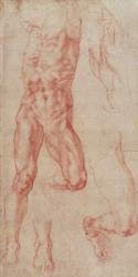 W.13r Study of a male nude, stretching upwards (chalk on paper) | Obraz na stenu