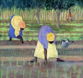 Women Gardening, 2005 (oil on canvas) | Obraz na stenu