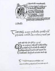 Specimens of Irish Manuscripts, c.1300-1588 (engraving) (b&w photo) | Obraz na stenu