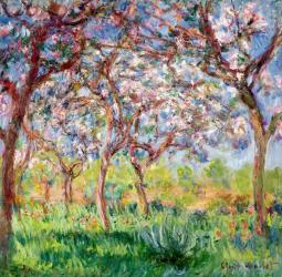 Printemps a Giverny, 1903 (oil on canvas) | Obraz na stenu