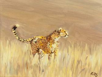 Cheetah study 1, 2015 (oil on canvas) | Obraz na stenu