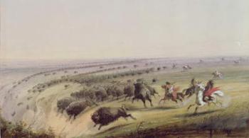 Hunting Buffalo, 1837 (w/c on paper) | Obraz na stenu