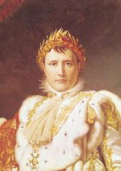 Napoleon I (1769-1821) in Coronation Robes, c.1804 (oil on canvas) (detail of 57327) | Obraz na stenu