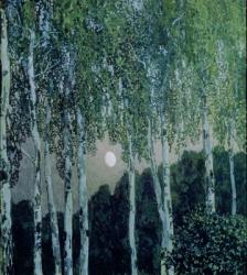 Birch Trees (oil on canvas) | Obraz na stenu