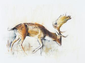 Pisanello Buck, 2006 (charcoal & conte on paper) | Obraz na stenu