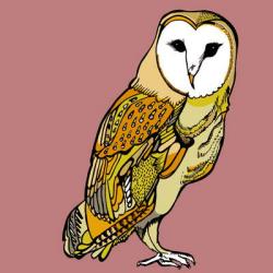 Beatrice Barn Owl, pen and ink, digitally coloured | Obraz na stenu