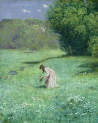 Woodland Meadow, 1876 (oil on panel) | Obraz na stenu
