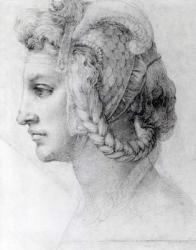 Ideal Head of a Woman, c.1525-28 (black chalk on paper) (b/w photo) | Obraz na stenu