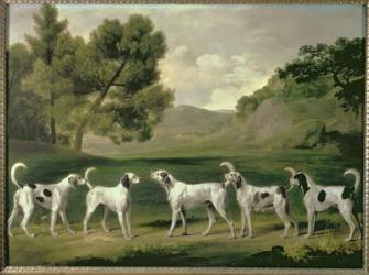 Foxhounds in a landscape, 1762 | Obraz na stenu