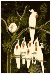 In the Land of the Cockatoo | Obraz na stenu