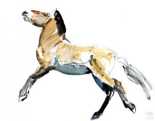 Free (Przewalski),2012, (mixed media on paper) | Obraz na stenu