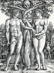 The Fall of Adam and Eve, c.1525-27 (woodcut) | Obraz na stenu