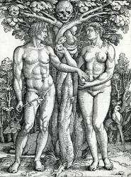 The Fall of Adam and Eve, c.1525-27 (woodcut) | Obraz na stenu