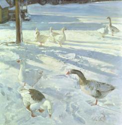 Snowfeeders, 1999 (oil on canvas) | Obraz na stenu