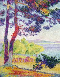 Afternoon at Pardigon, Var, 1907 (oil on canvas) | Obraz na stenu