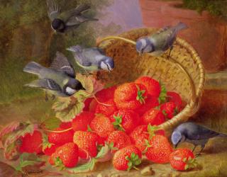 Still Life with Strawberries and Bluetits | Obraz na stenu